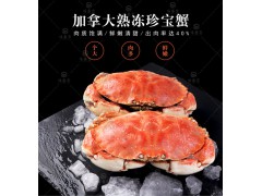 珍宝蟹即食 面包蟹鲜活熟冻超大 海鲜螃蟹 黄金蟹