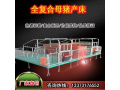 贵州猪场母猪分娩限位栏产床双位母猪产床畜牧设备厂家