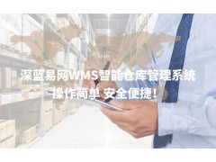 高效wms仓库管理系统有哪些优势？