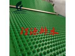 绿化塑料排水板高强度耐根刺排水板河南厂家