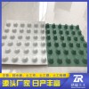 青岛塑料防渗排水板凸片排水板供应