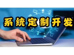 浙江欢朋软件定制开发原码可售