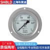 上海布莱迪Y-200 Y-250普通一般压力表气压表