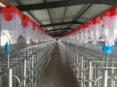 现代化养猪场自动供料系统 塞盘链条料线 自动化喂料料线