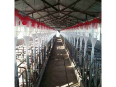 生产批发猪舍料线设备配件 养殖自动化猪舍料线系统