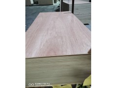 18mm厚芯家具板 E1/EO环保胶合板 多层实木衣柜板厂