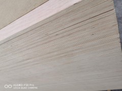 胶合板厂家直供杨桉芯环保多层胶合板 18mmEO级家具板