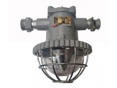 DGS15/127L(A)煤矿隔爆型LED巷道灯矿用照明灯