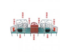 母猪产床猪产床复合板限位栏定位栏保育一体两用床养殖设备分娩床