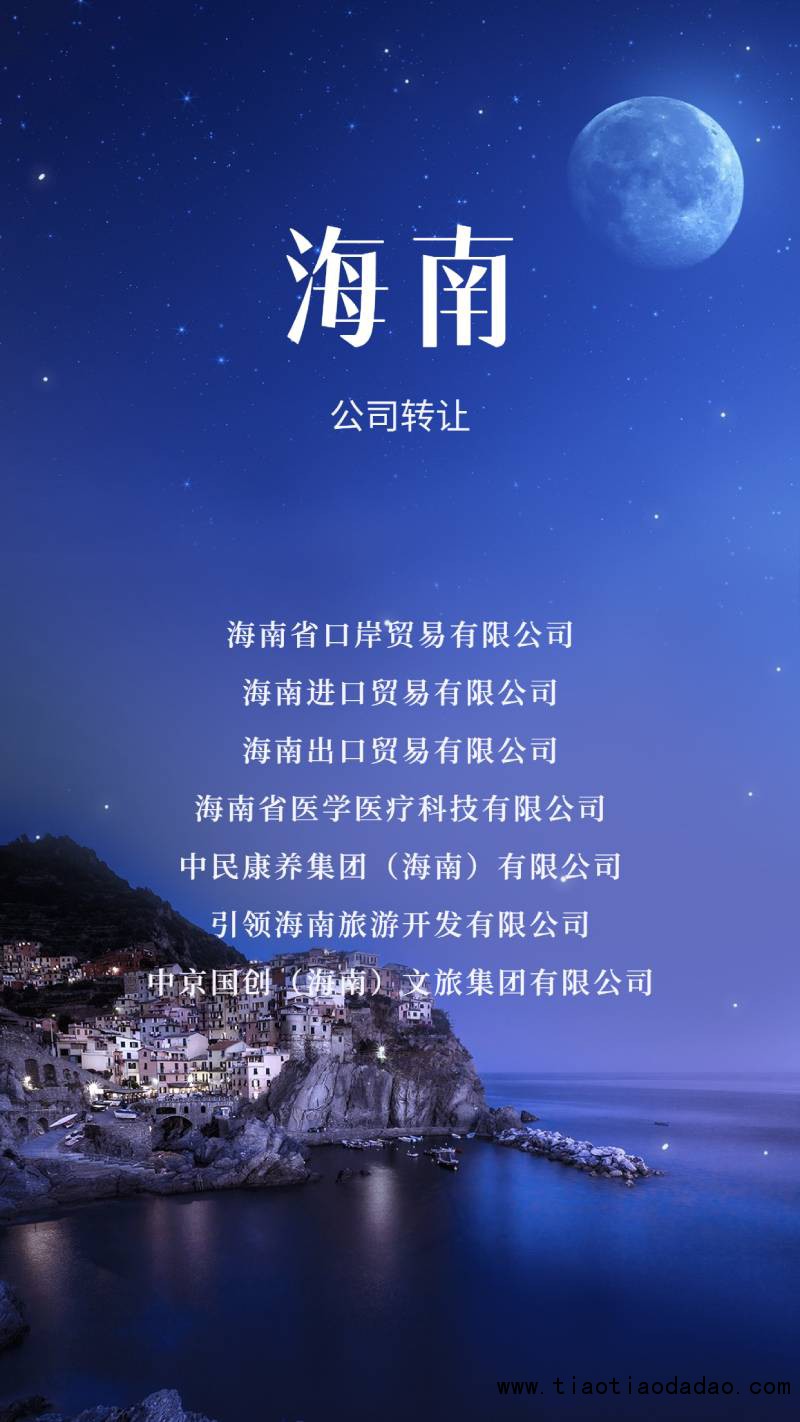 海南公司1