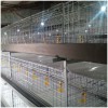 鸡笼鸭笼笼养设备养殖机械肉鸡鸡笼山东金石农牧机械