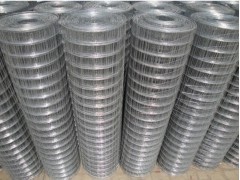 专业生产各种规格电焊网