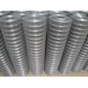 专业生产各种规格电焊网