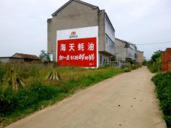 武汉农村主干道墙体乡镇风向标广告