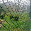 .镀锌铁丝养殖圈地围栏网园林景观包塑钢丝护栏网镀锌铁丝勾花网