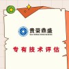 四川省資陽市專利知識產權評估軟著商標評估無形資產評估