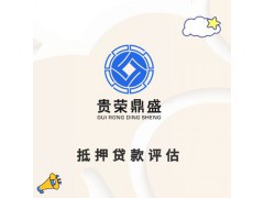 江西省南昌市企业股权价值评估股东价值评估企业负债评估