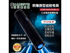 重庆SW2120微型防爆便携式手电筒