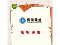 浙江省杭州市公司的无形资产怎么评估知识产权评估方法有哪些