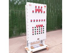 定制首安防爆配电箱BXK防爆控制箱照明动力配电箱
